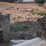 בית הארחה Casa Dos Primos Muxagata (Vila Nova de Foz Coa)