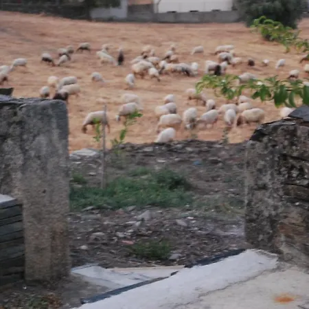 Gasthuis Casa Dos Primos Muxagata (Vila Nova de Foz Coa)