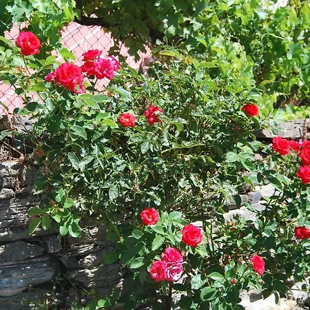 Casa Dos Primos Casa de hóspedes