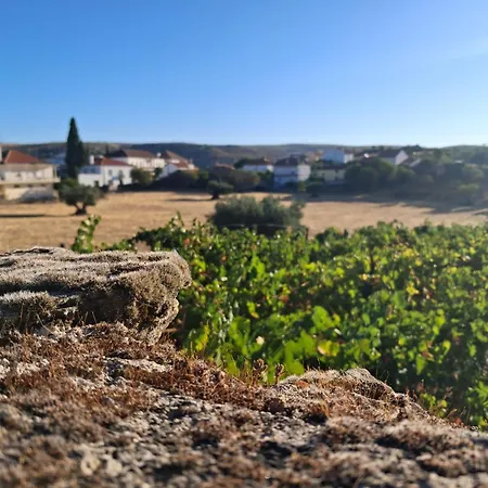 Casa Dos Primos Gasthuis 3*