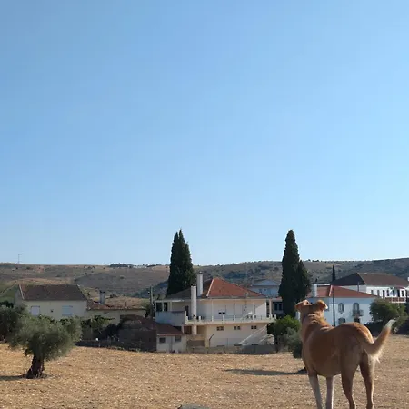 Casa Dos Primos בית הארחה