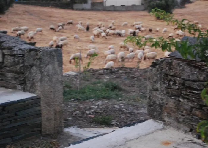 Gasthuis Casa Dos Primos Muxagata (Vila Nova de Foz Coa)