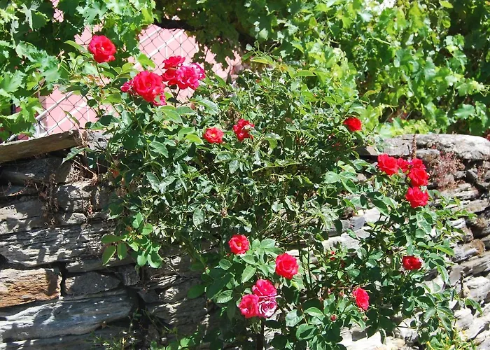 Casa Dos Primos 게스트하우스