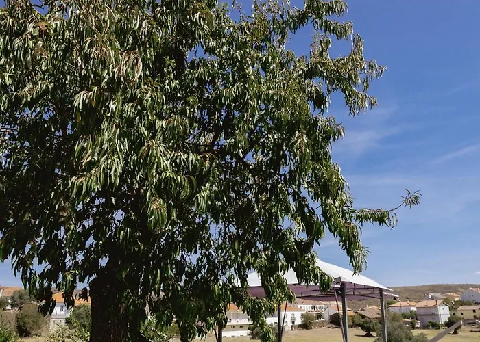 Casa Dos Primos 게스트하우스